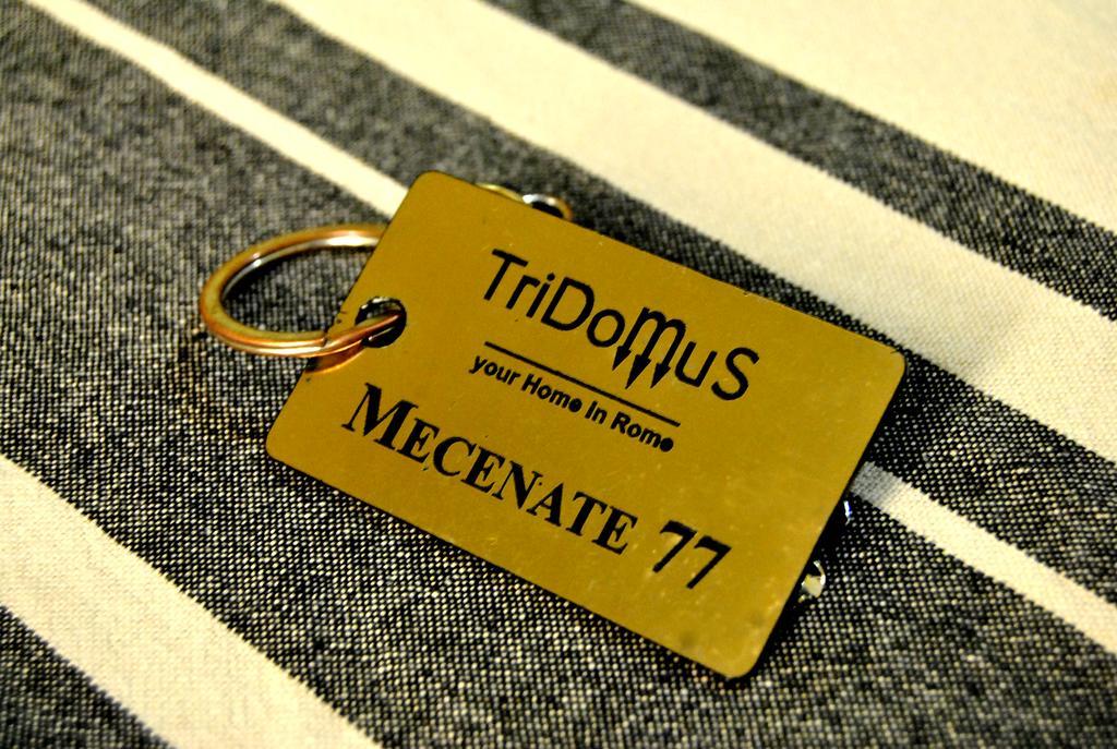 Tridomus Apartment - Mecenate 77 Roma Exterior foto